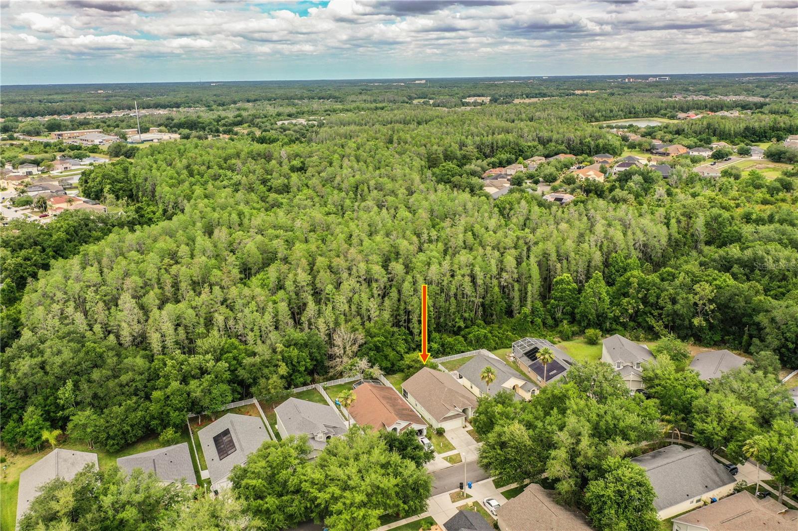 10458 LUCAYA DR, TAMPA, FL, 33647