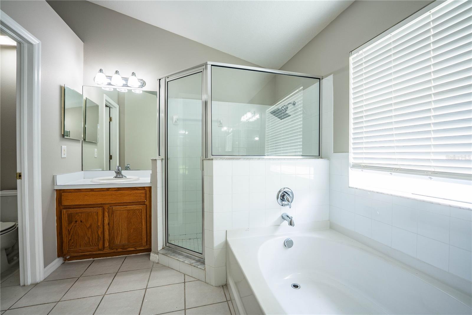 10458 LUCAYA DR, TAMPA, FL, 33647