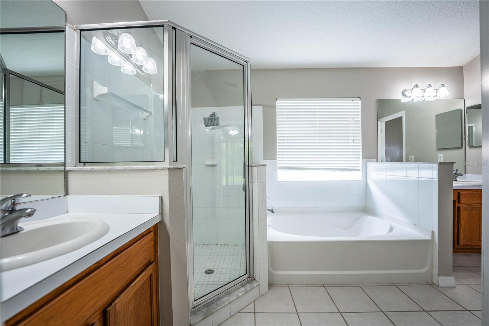 10458 LUCAYA DR, TAMPA, FL, 33647