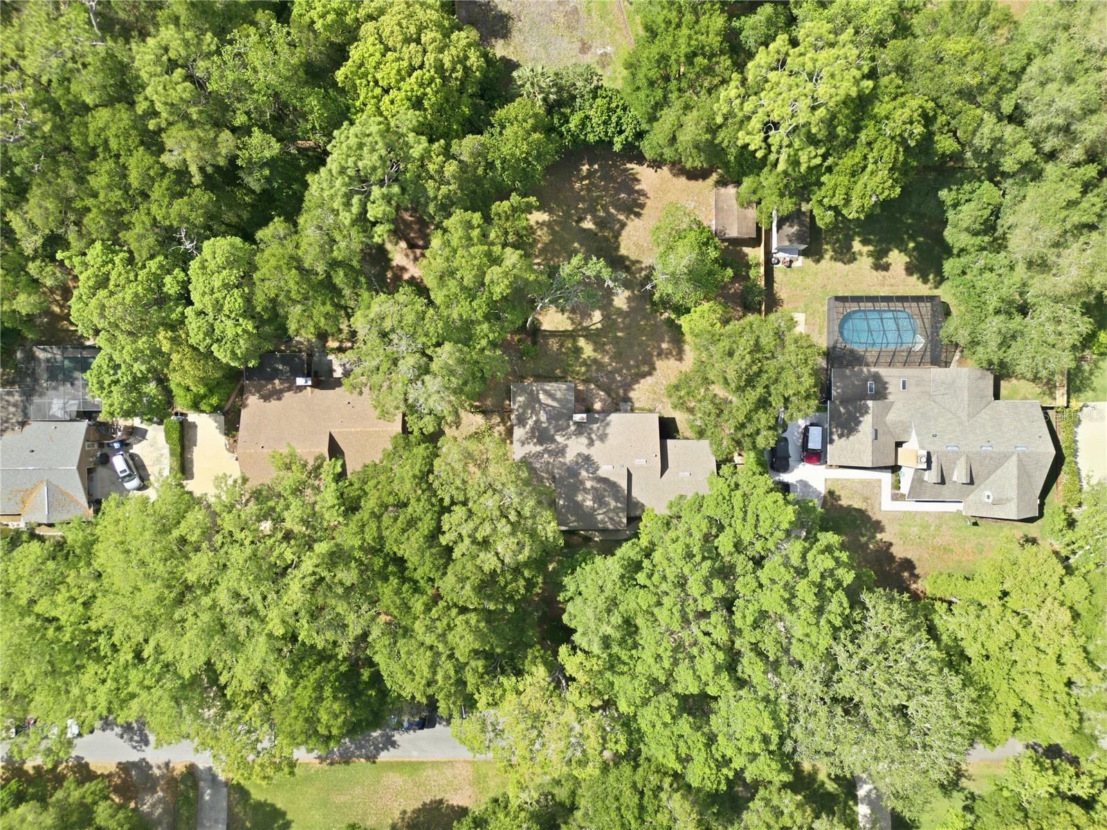 544 BLACK IRONWOOD DR, DELAND, FL, 32724