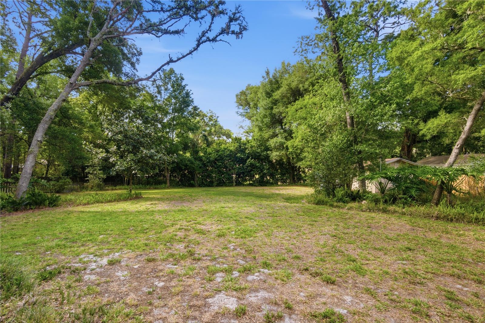 544 BLACK IRONWOOD DR, DELAND, FL, 32724