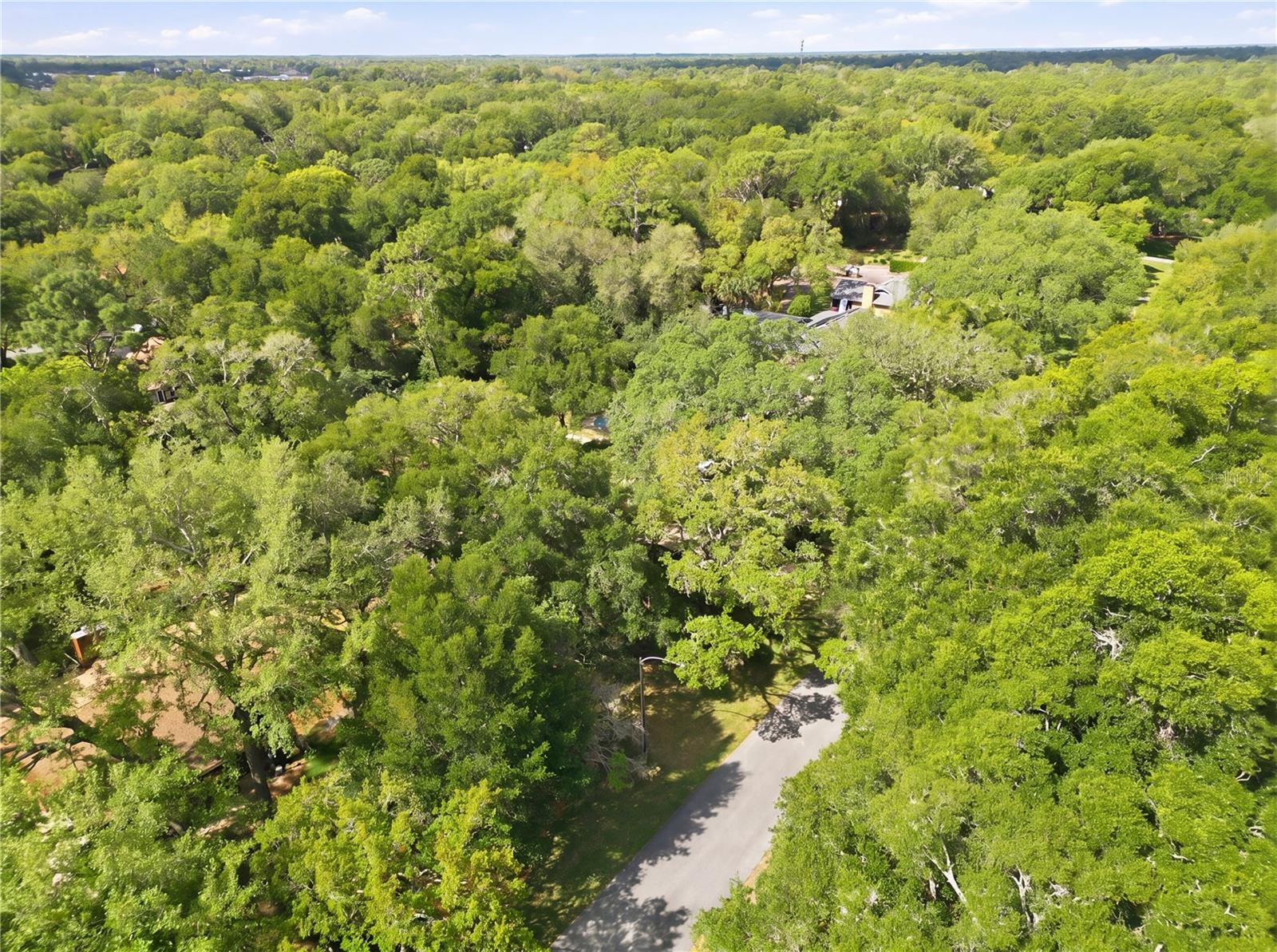 544 BLACK IRONWOOD DR, DELAND, FL, 32724