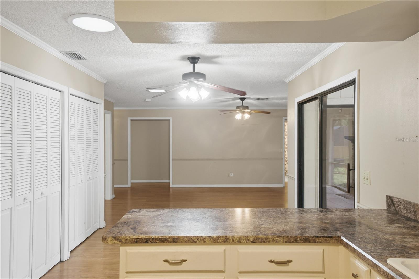 544 BLACK IRONWOOD DR, DELAND, FL, 32724