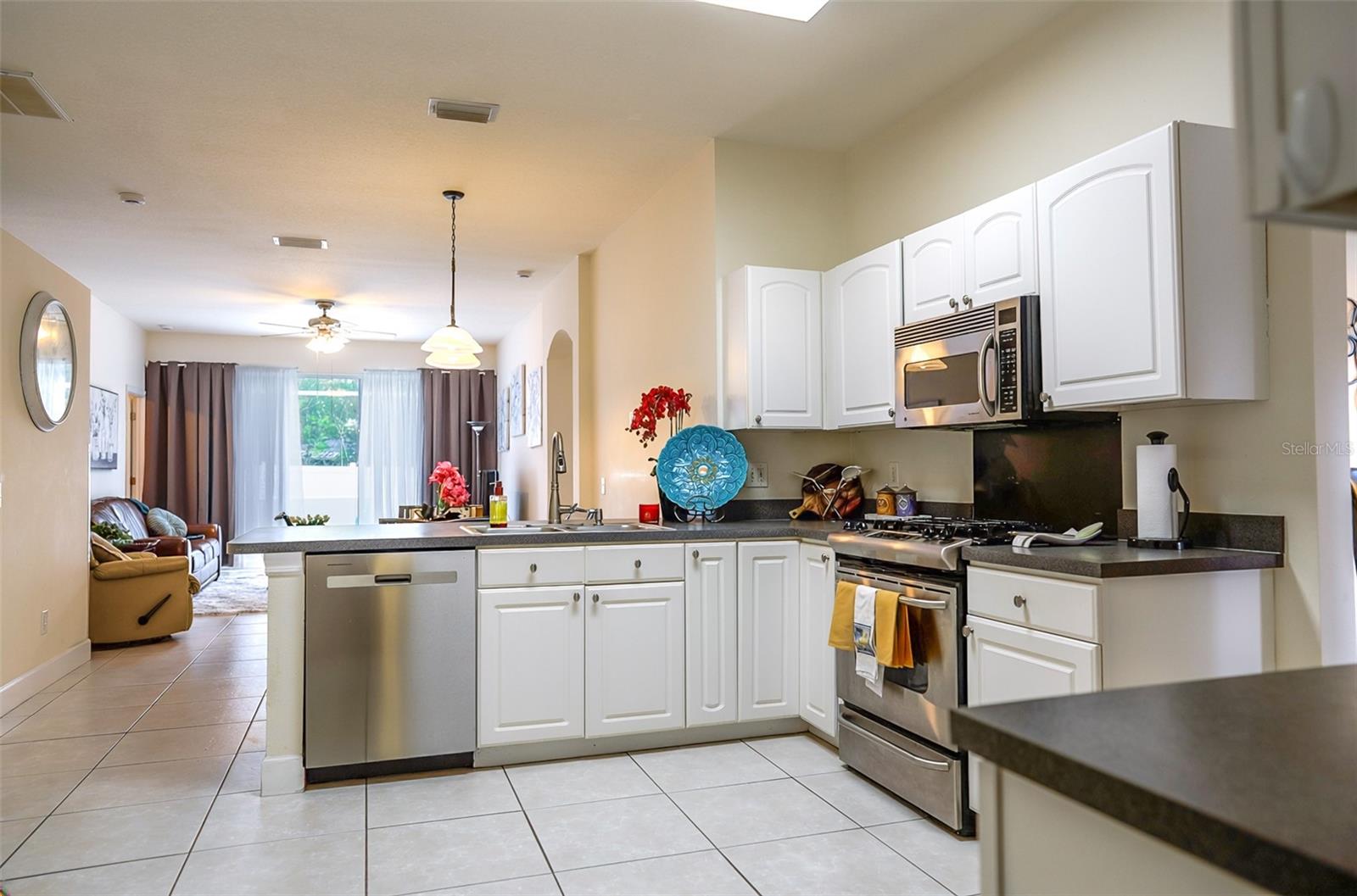 10304 BIRDWATCH DR, TAMPA, FL, 33647