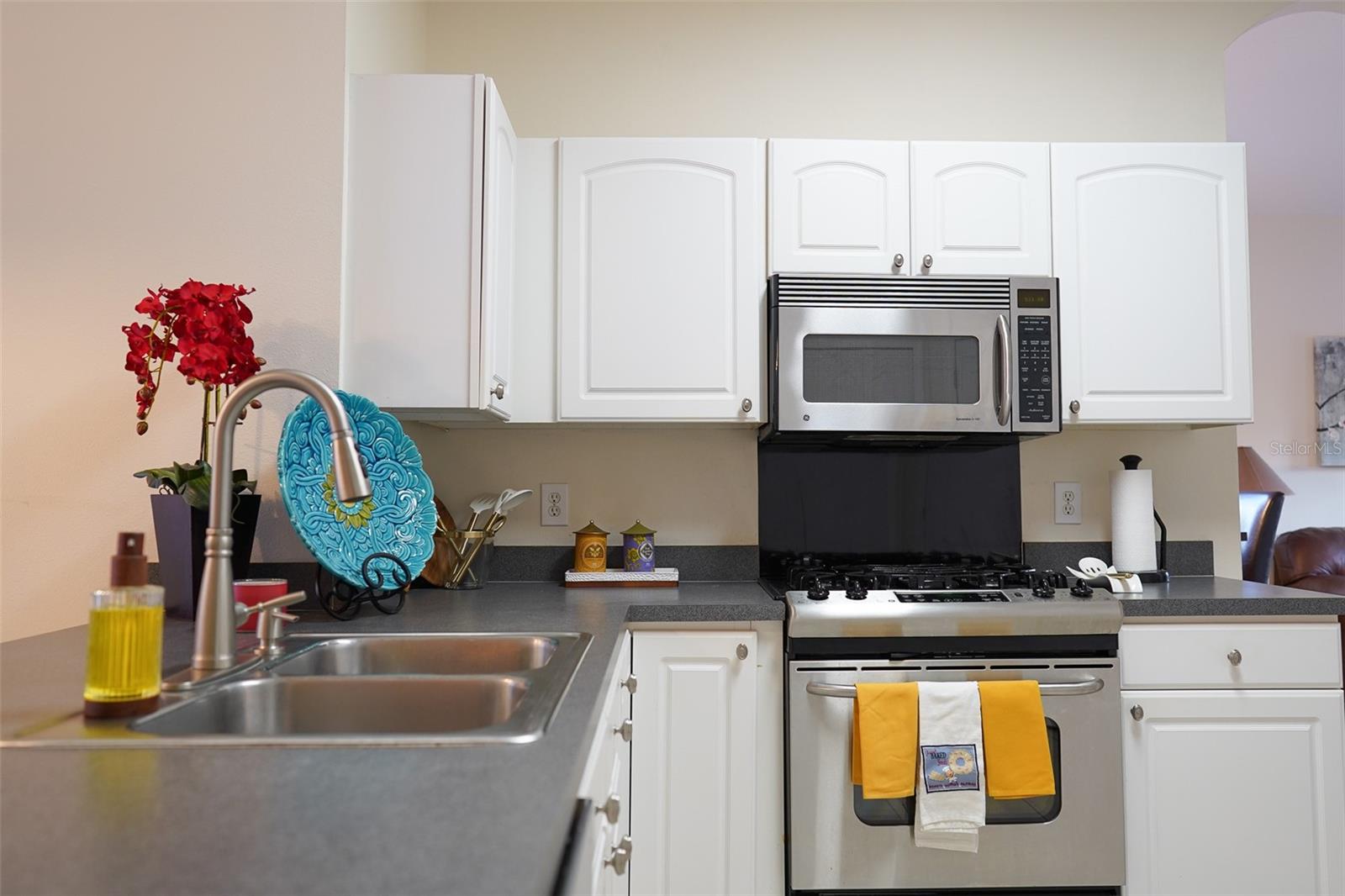 10304 BIRDWATCH DR, TAMPA, FL, 33647