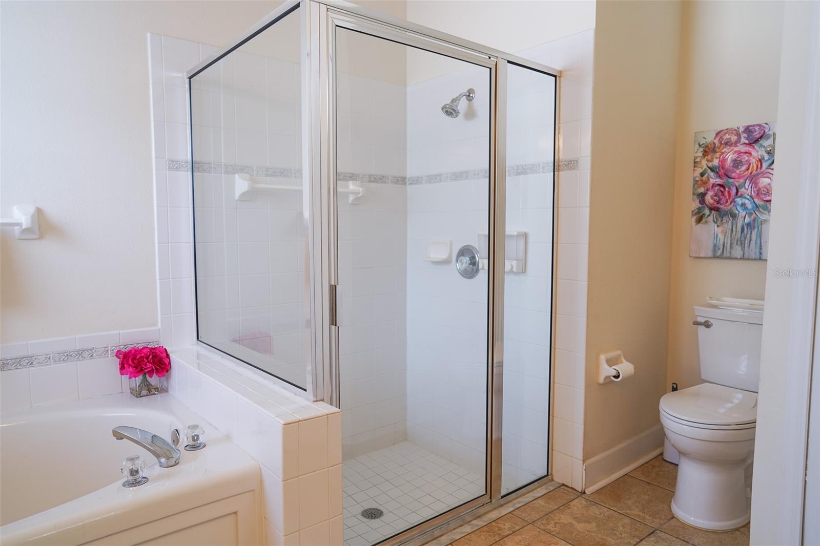 10304 BIRDWATCH DR, TAMPA, FL, 33647