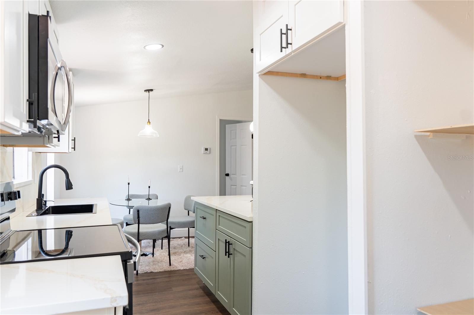 1809 NE 162ND ST, CITRA, FL, 32113