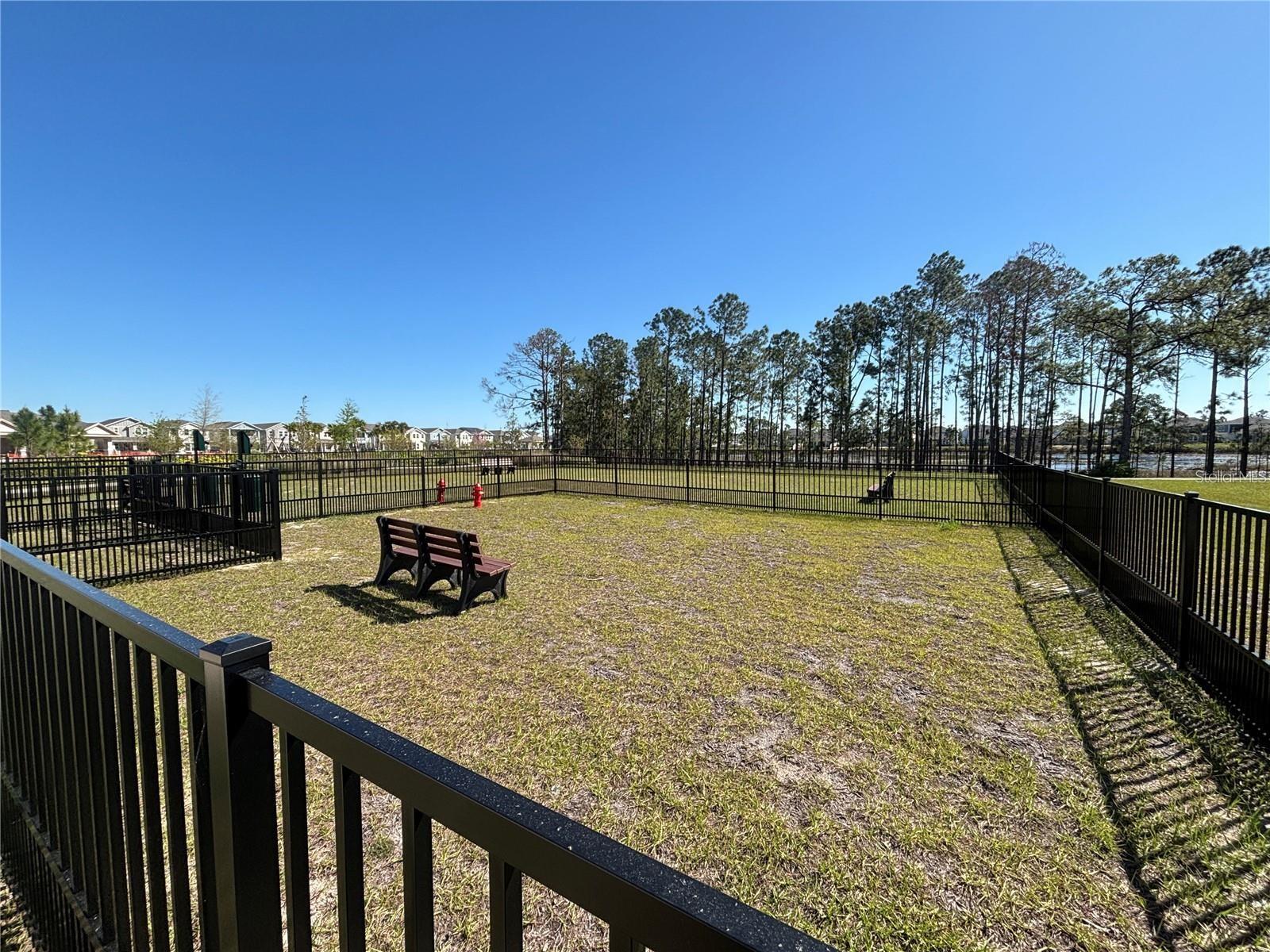 16337 HONEY HARVEST ST, WINTER GARDEN, FL, 34787