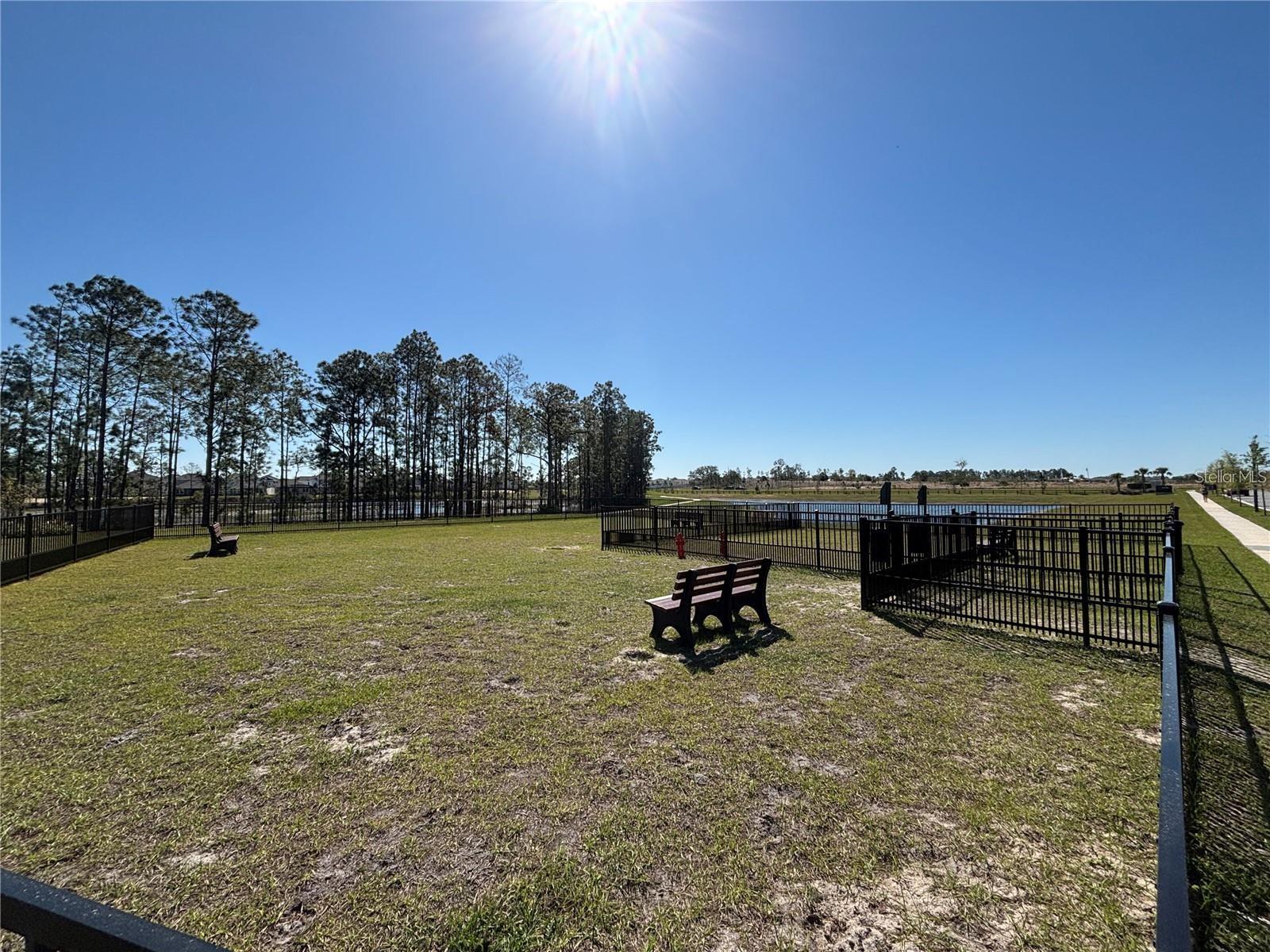 16337 HONEY HARVEST ST, WINTER GARDEN, FL, 34787