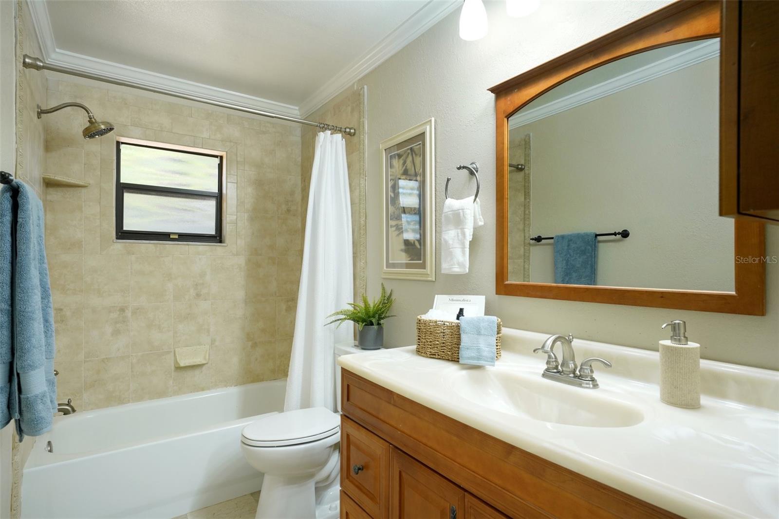 8315 TERRACEWOOD CIR, TAMPA, FL, 33615