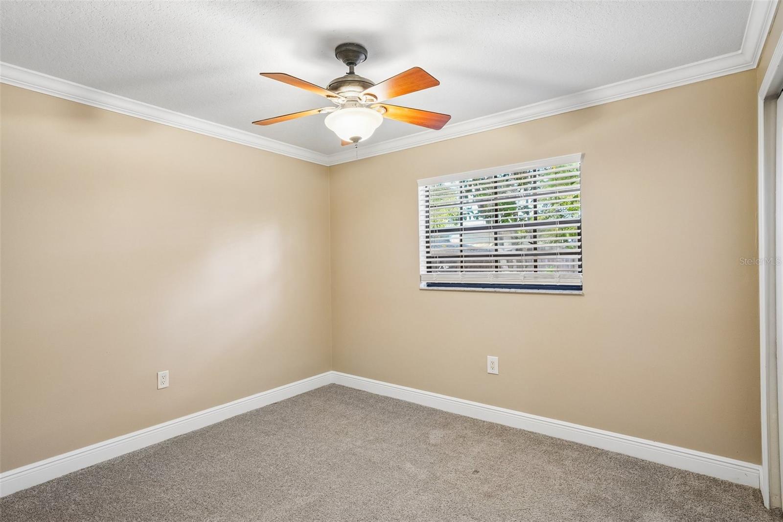 8315 TERRACEWOOD CIR, TAMPA, FL, 33615