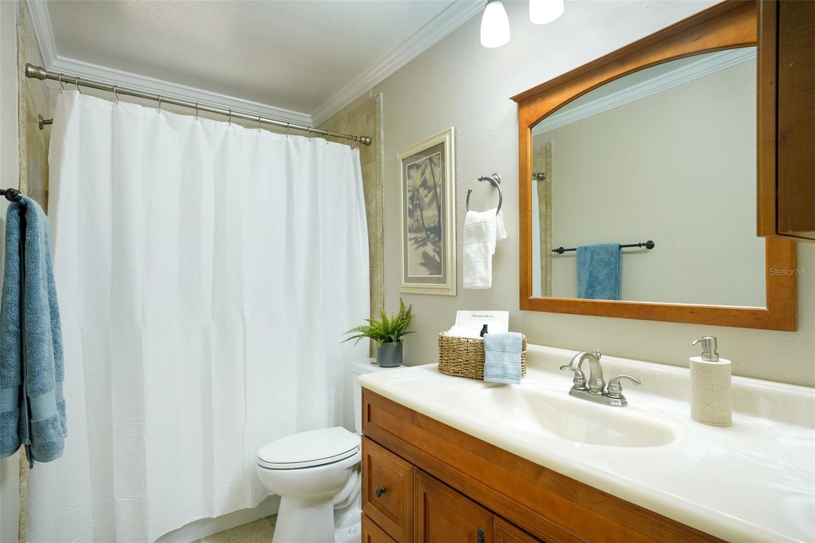 8315 TERRACEWOOD CIR, TAMPA, FL, 33615