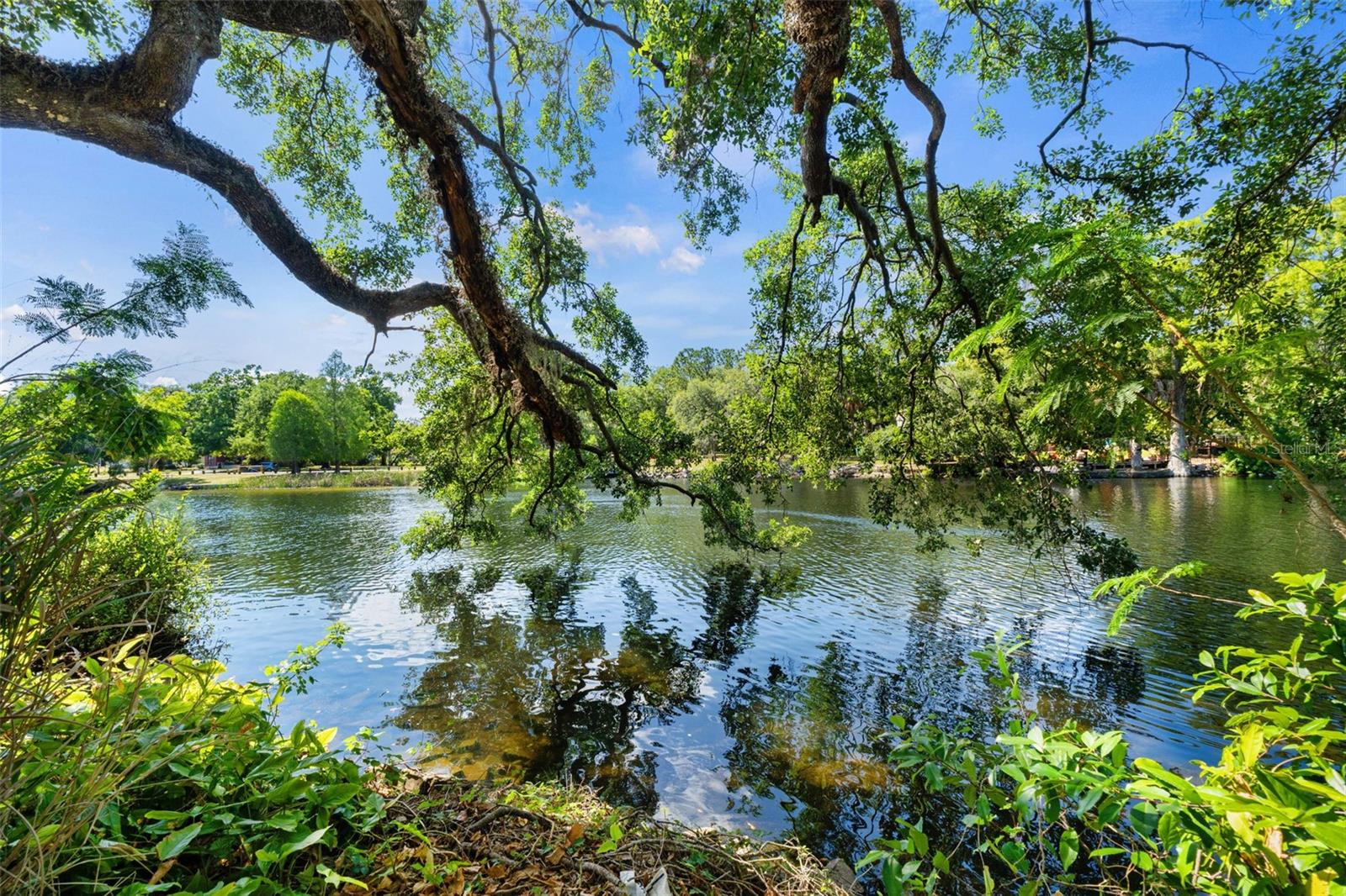 323 W HANLON ST, TAMPA, FL, 33604