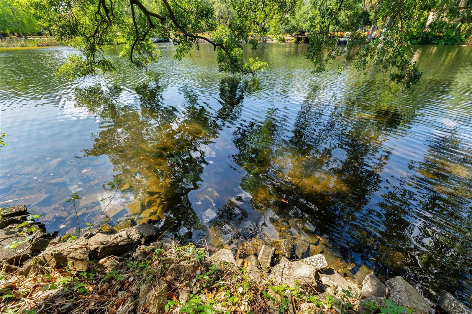 323 W HANLON ST, TAMPA, FL, 33604