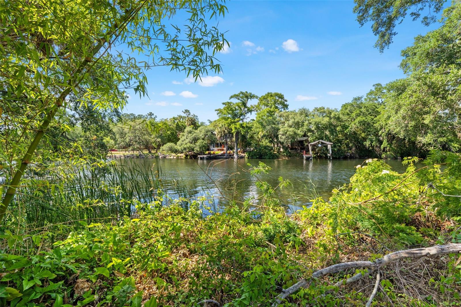 323 W HANLON ST, TAMPA, FL, 33604