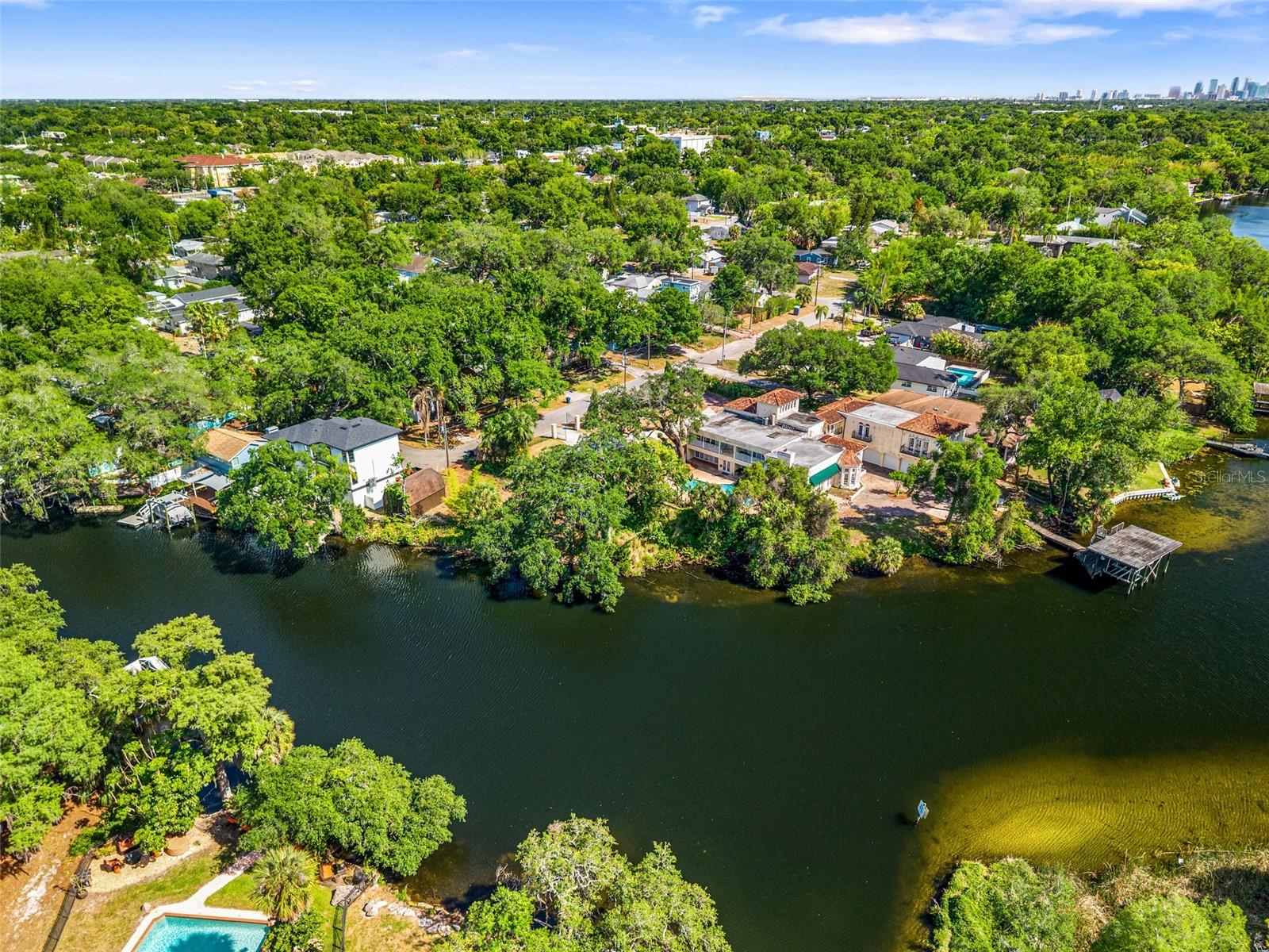 323 W HANLON ST, TAMPA, FL, 33604