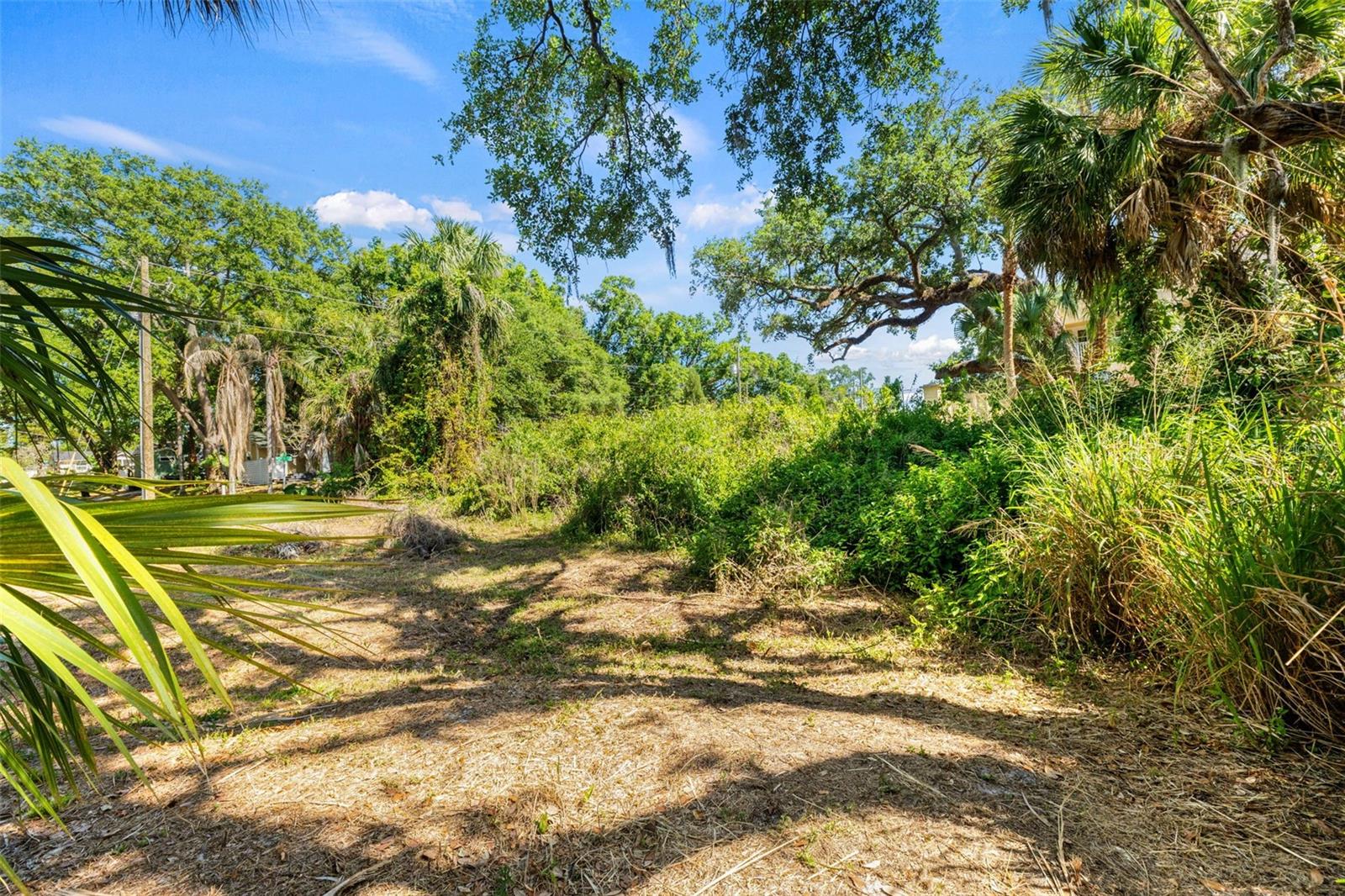 323 W HANLON ST, TAMPA, FL, 33604