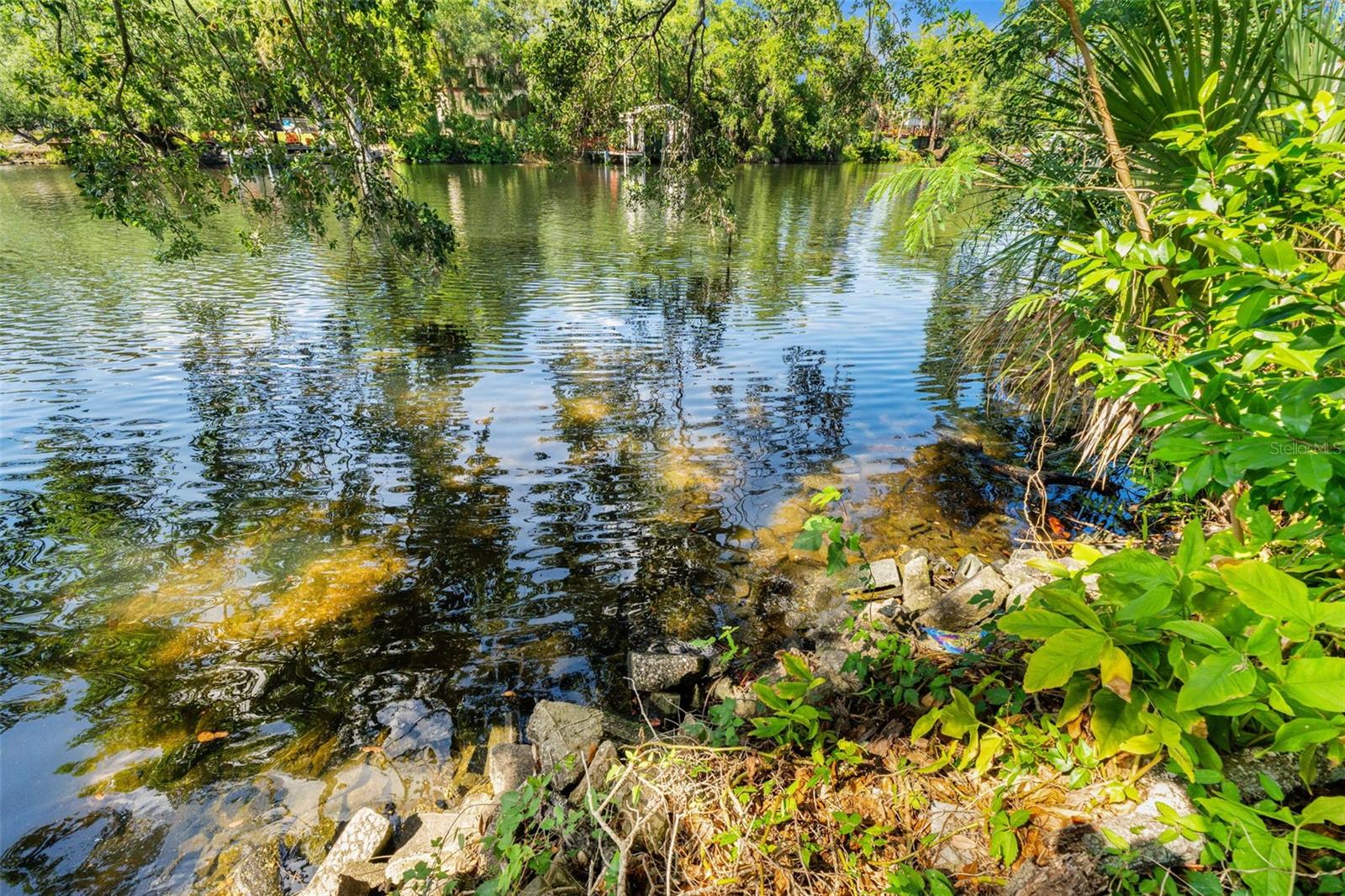 323 W HANLON ST, TAMPA, FL, 33604