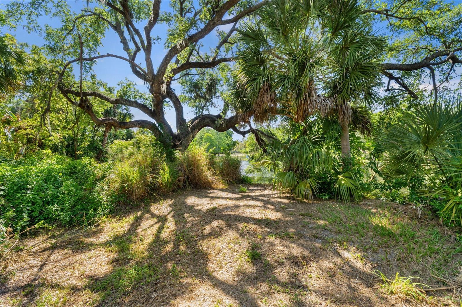 323 W HANLON ST, TAMPA, FL, 33604