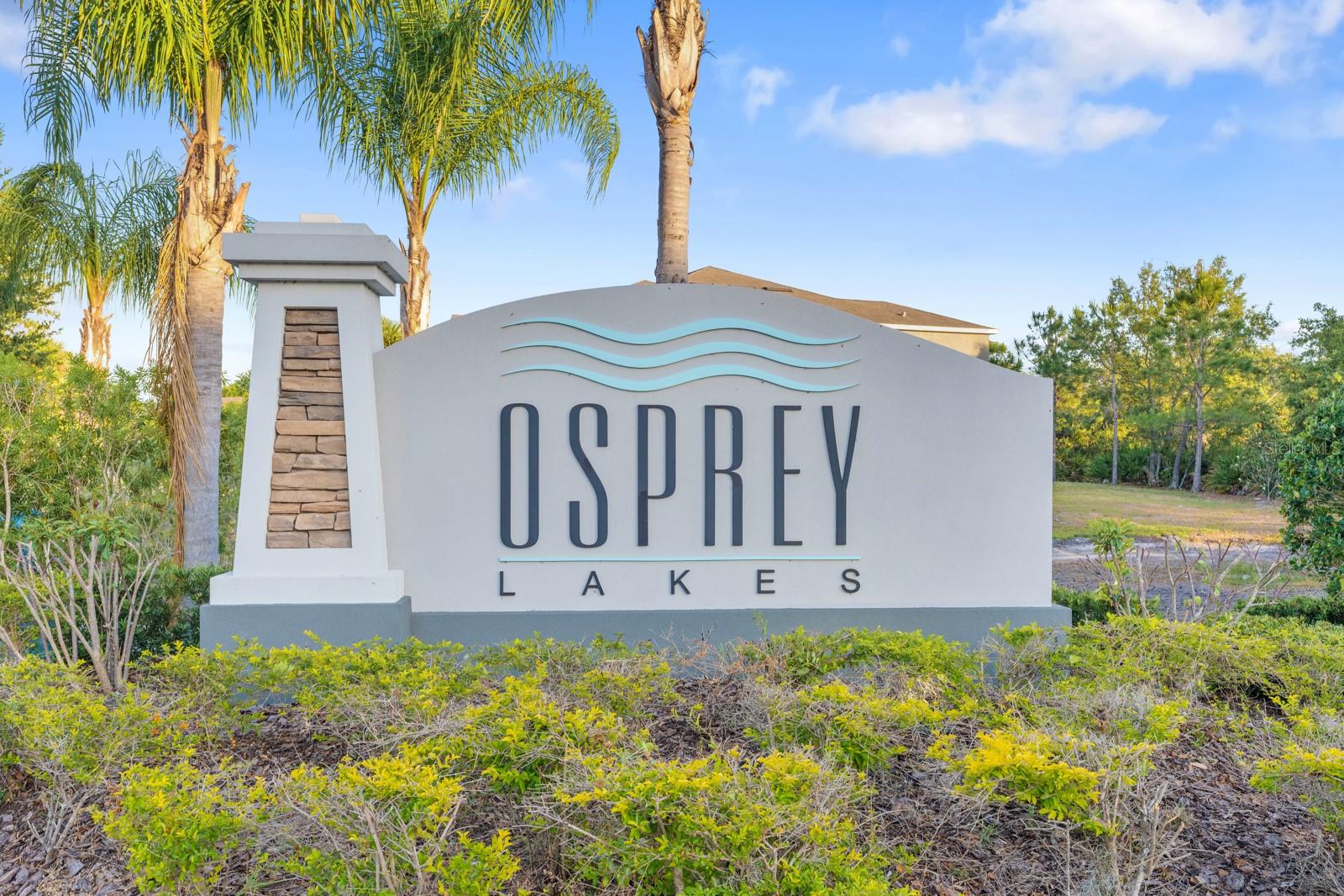 8965 INDIGO TRAIL LOOP, RIVERVIEW, FL, 33578