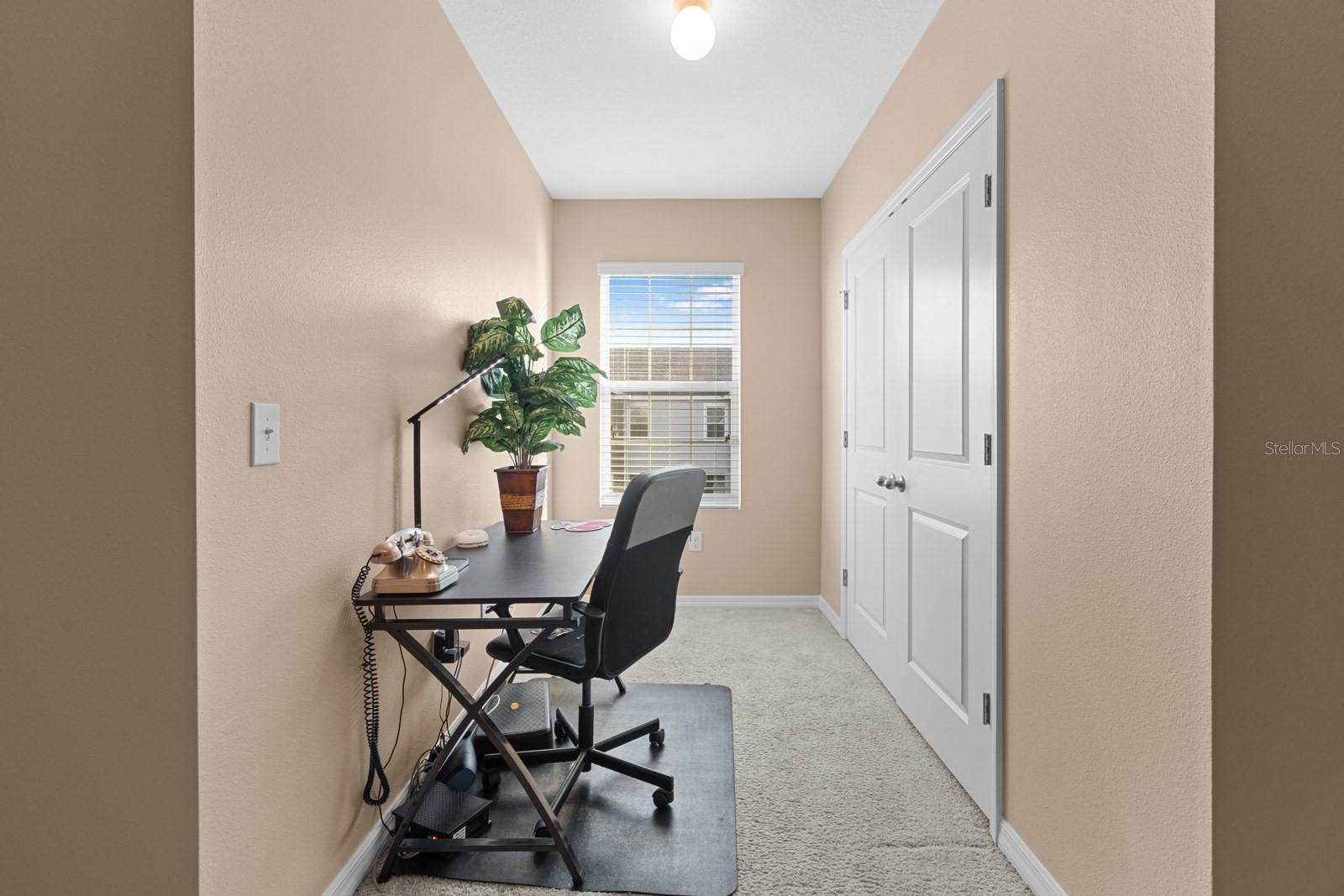 8965 INDIGO TRAIL LOOP, RIVERVIEW, FL, 33578