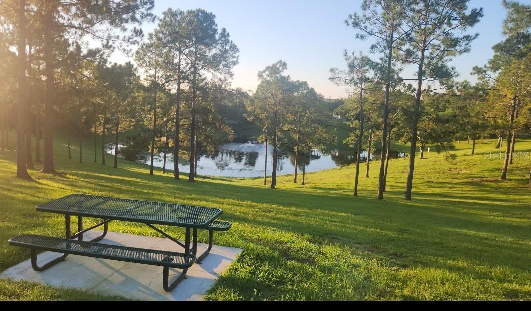 15816 OAKLAND CT, CLERMONT, FL, 34711