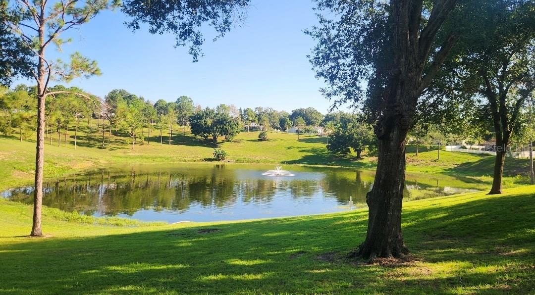 15816 OAKLAND CT, CLERMONT, FL, 34711