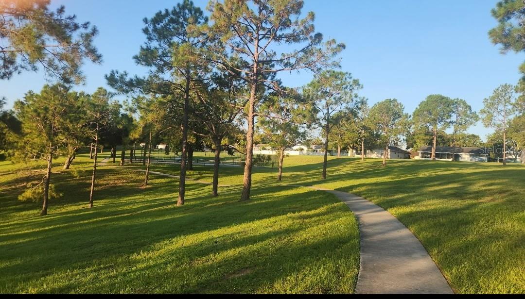 15816 OAKLAND CT, CLERMONT, FL, 34711