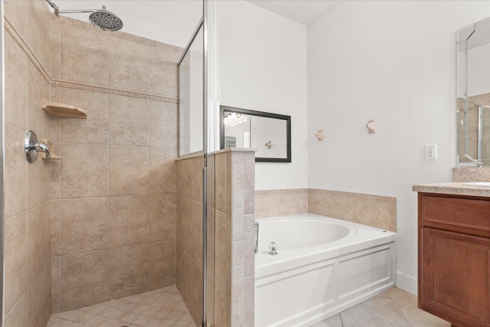 20934 SULLIVAN RANCH BLVD, MOUNT DORA, FL, 32757