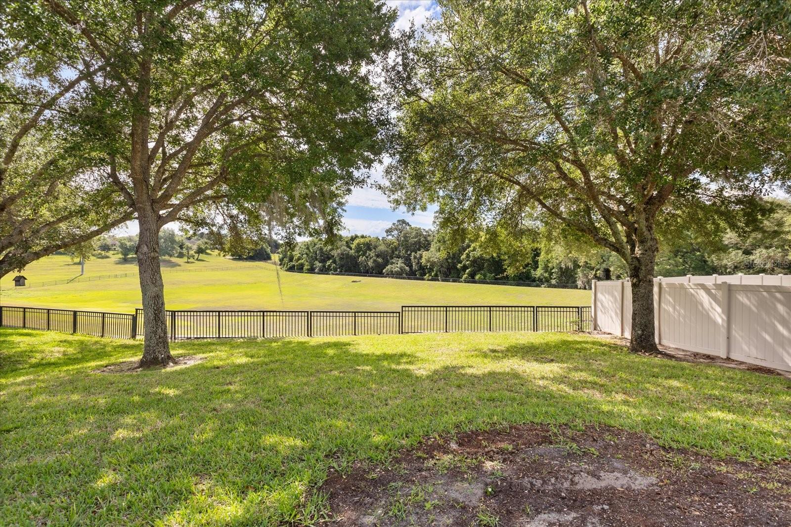 20934 SULLIVAN RANCH BLVD, MOUNT DORA, FL, 32757