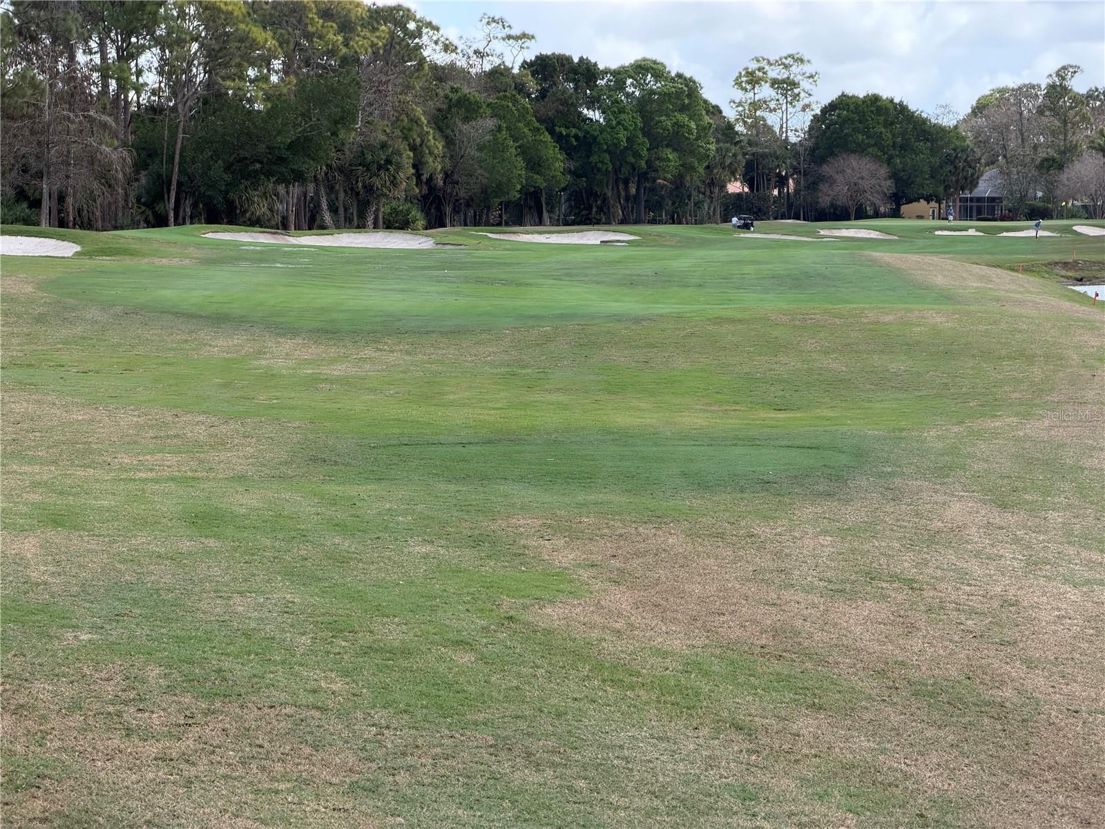 15642 CYPRESS PARK DR, WELLINGTON, FL, 33414