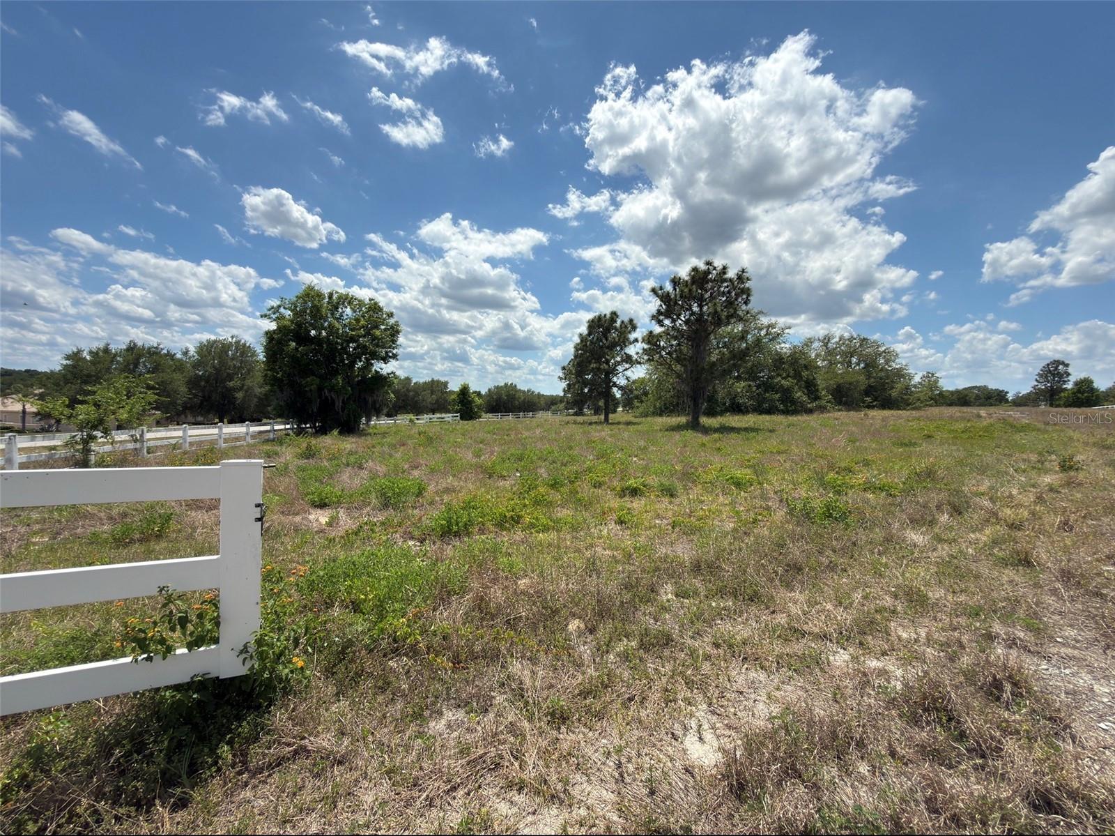 6115 RANCH LAKE RD, GROVELAND, FL, 34736