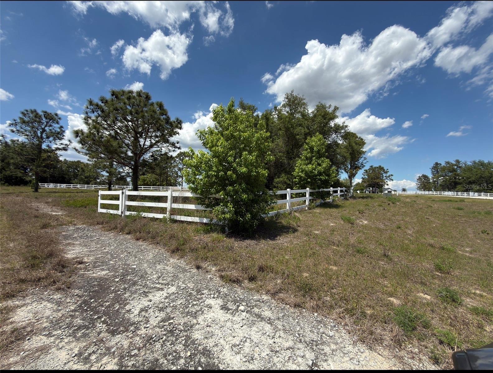 6115 RANCH LAKE RD, GROVELAND, FL, 34736