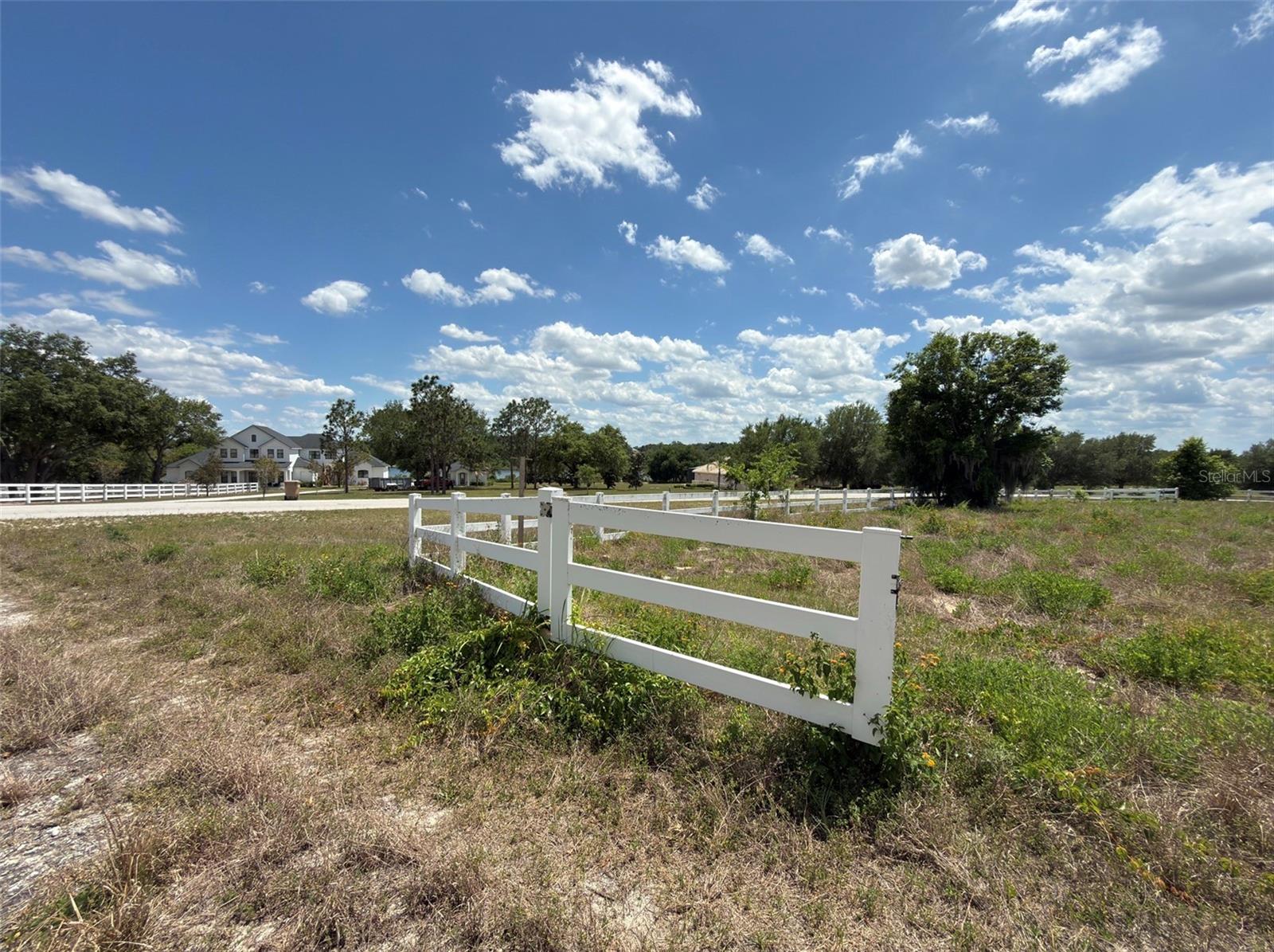 6115 RANCH LAKE RD, GROVELAND, FL, 34736