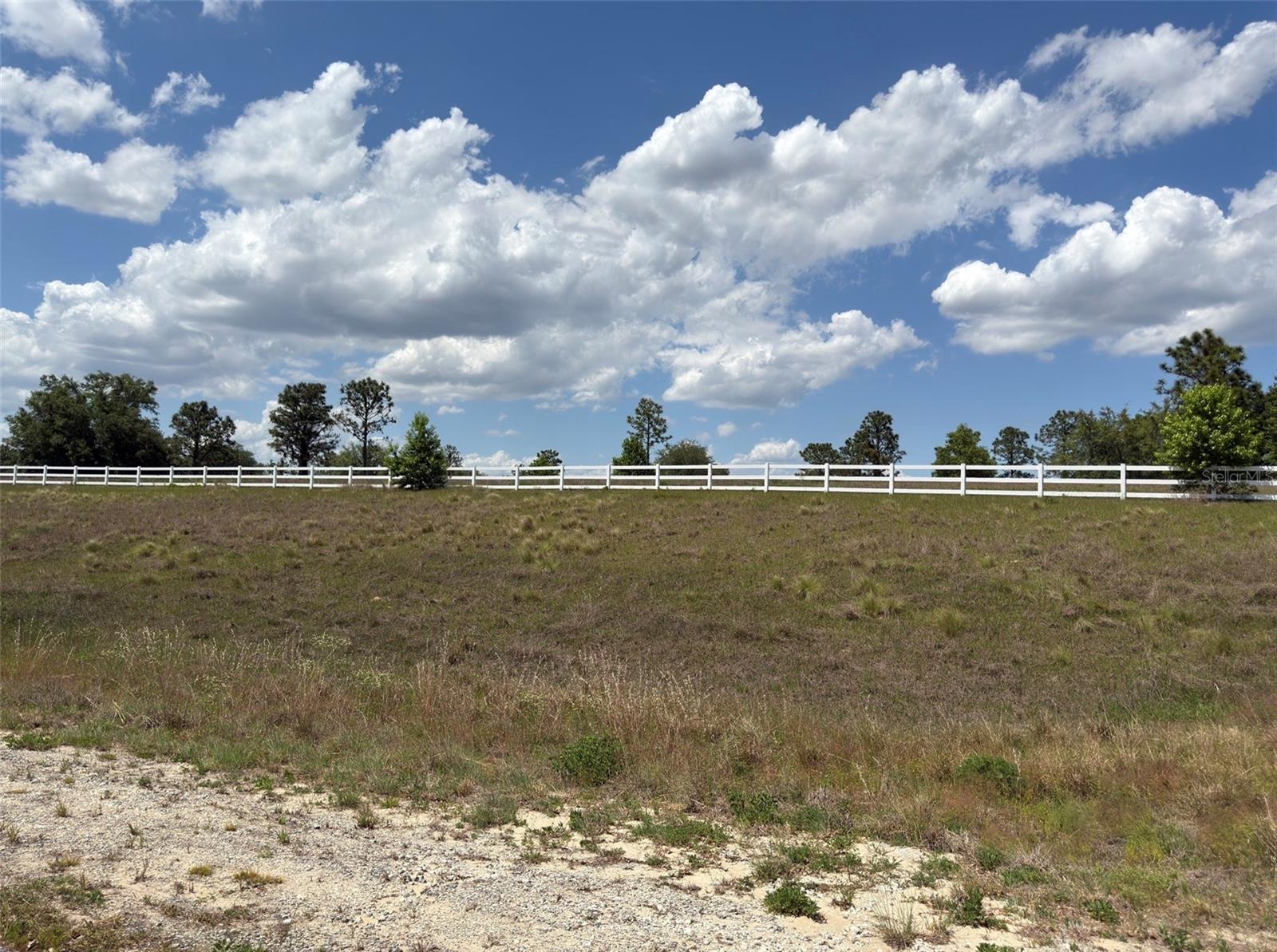 6115 RANCH LAKE RD, GROVELAND, FL, 34736