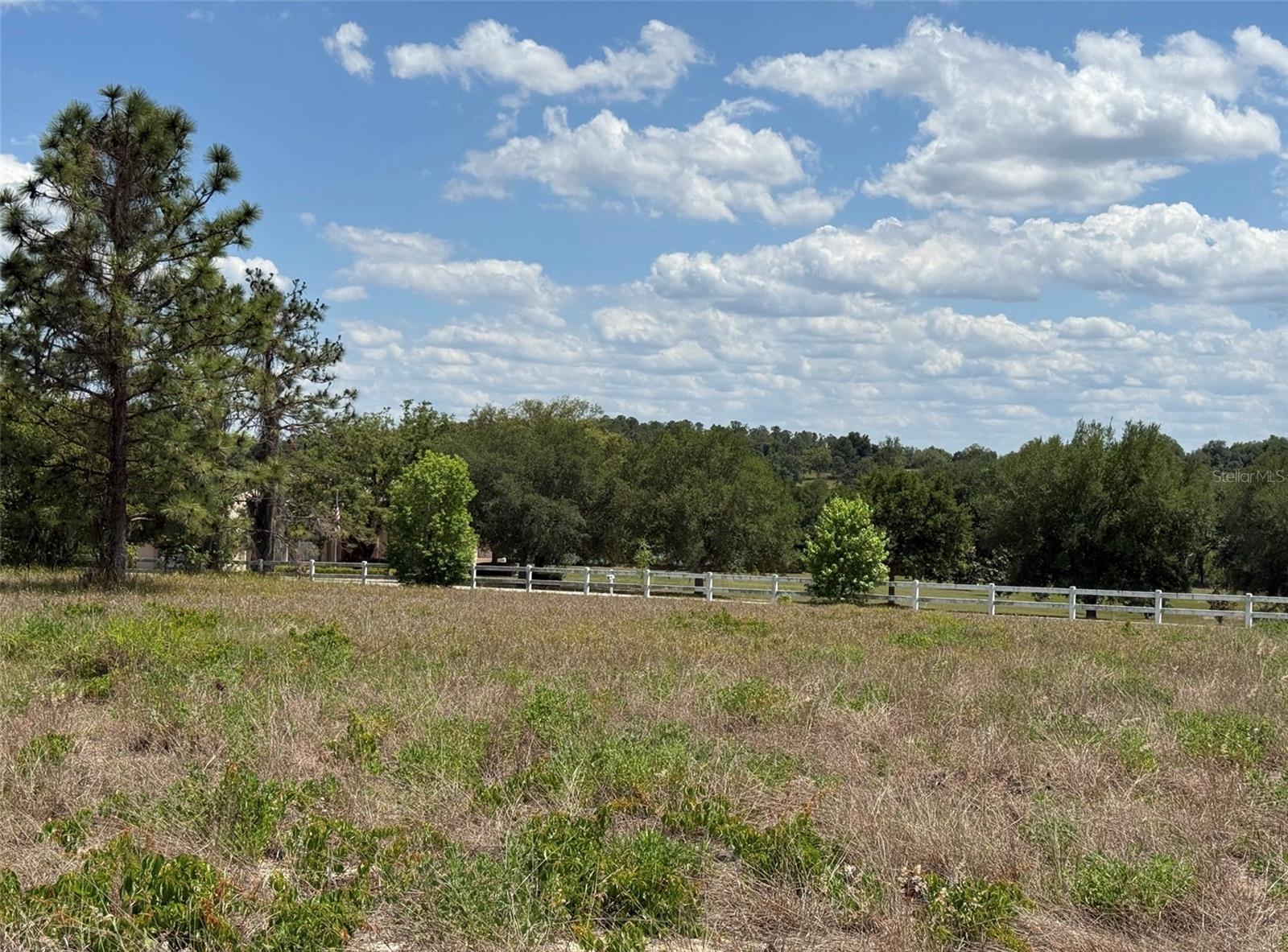 6115 RANCH LAKE RD, GROVELAND, FL, 34736