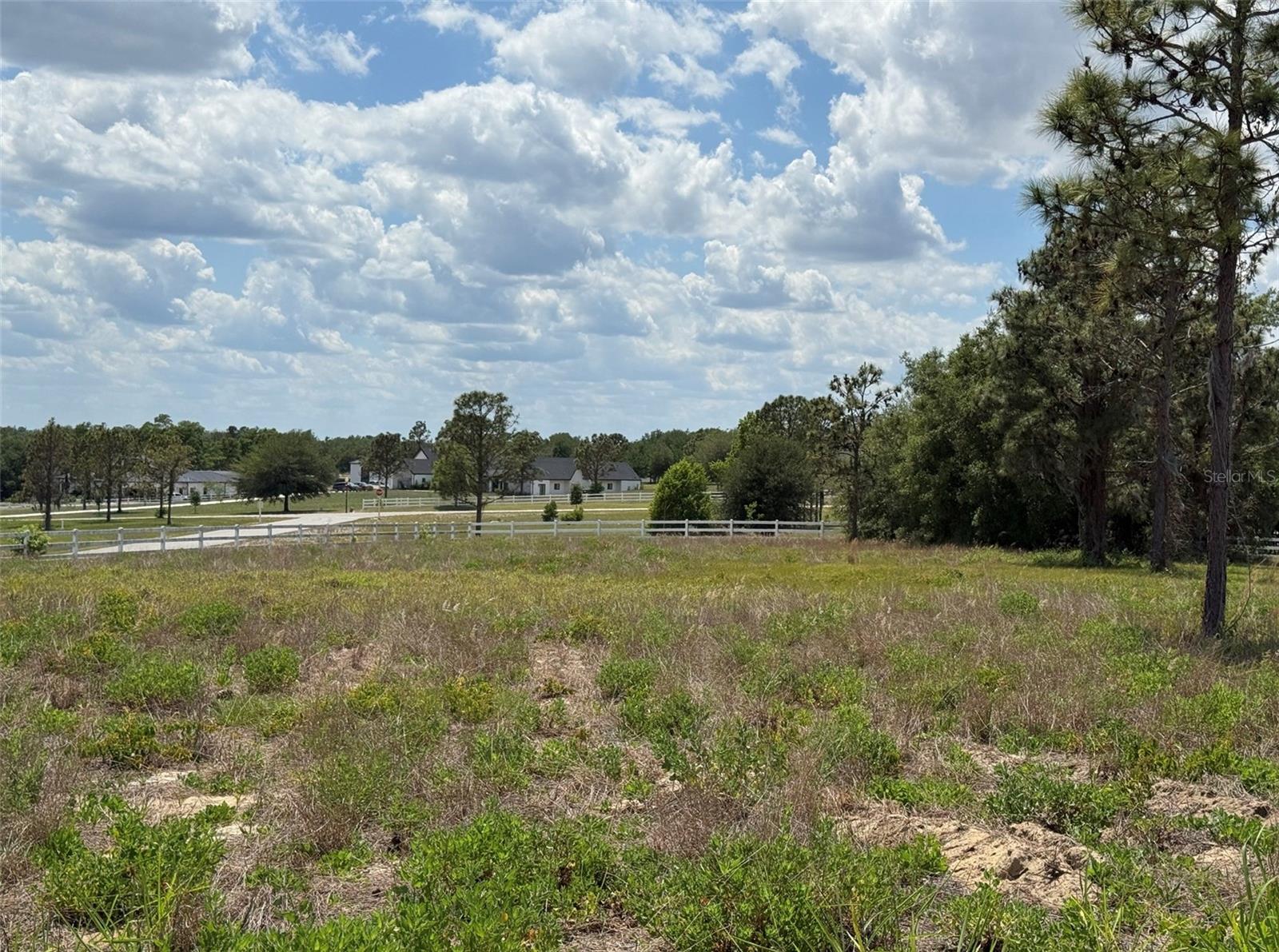 6115 RANCH LAKE RD, GROVELAND, FL, 34736