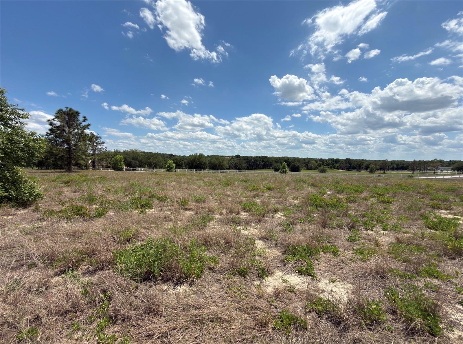 6115 RANCH LAKE RD, GROVELAND, FL, 34736