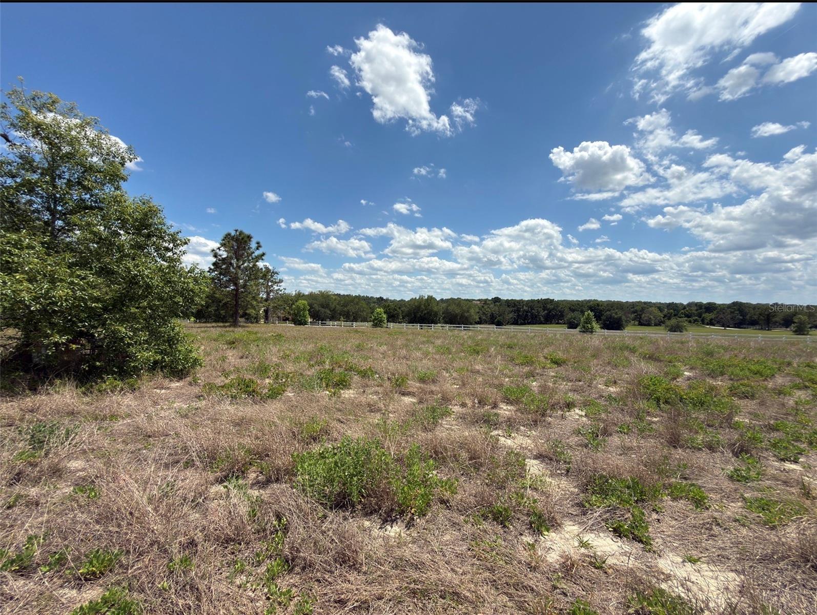 6115 RANCH LAKE RD, GROVELAND, FL, 34736