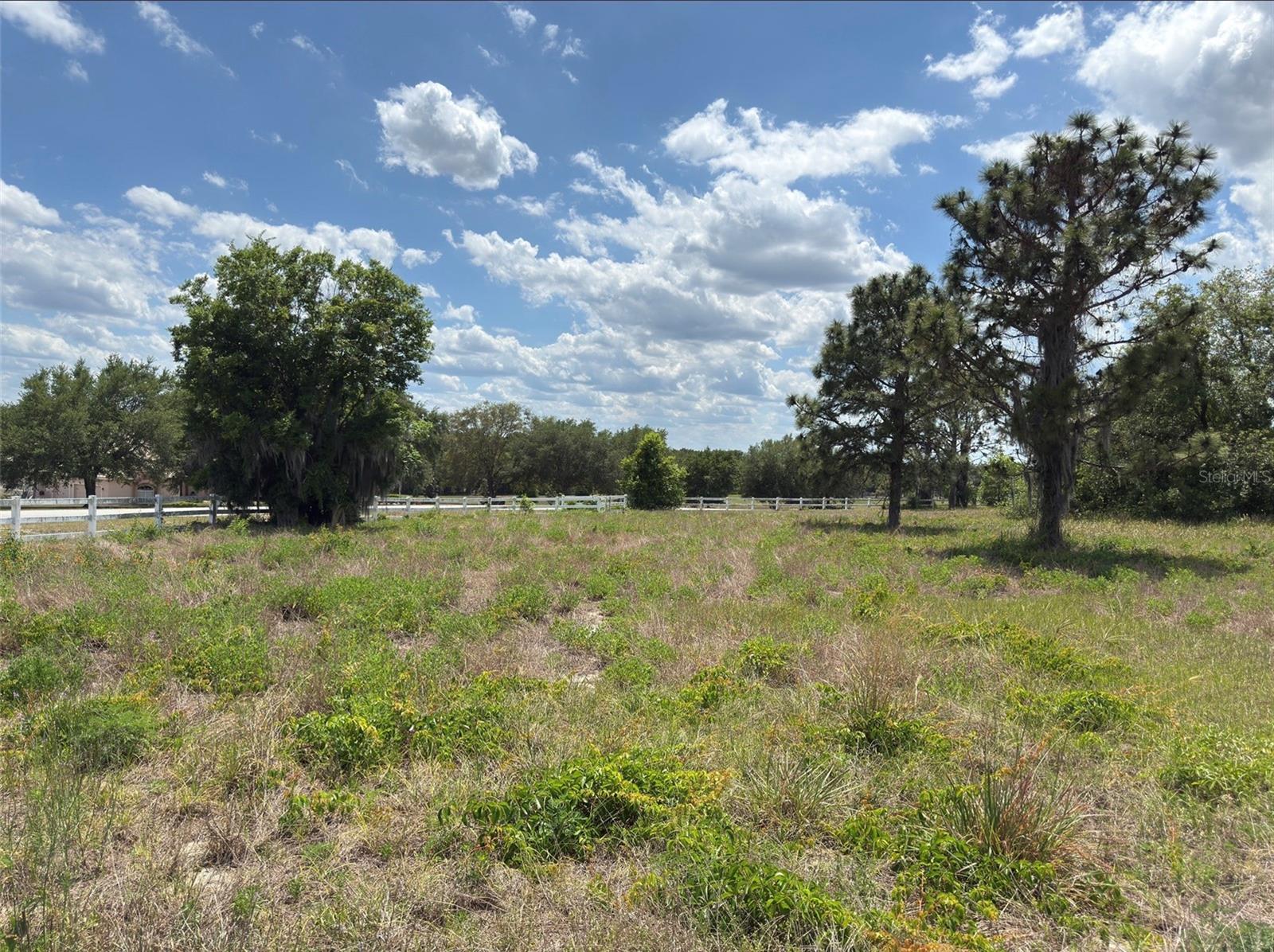 6115 RANCH LAKE RD, GROVELAND, FL, 34736