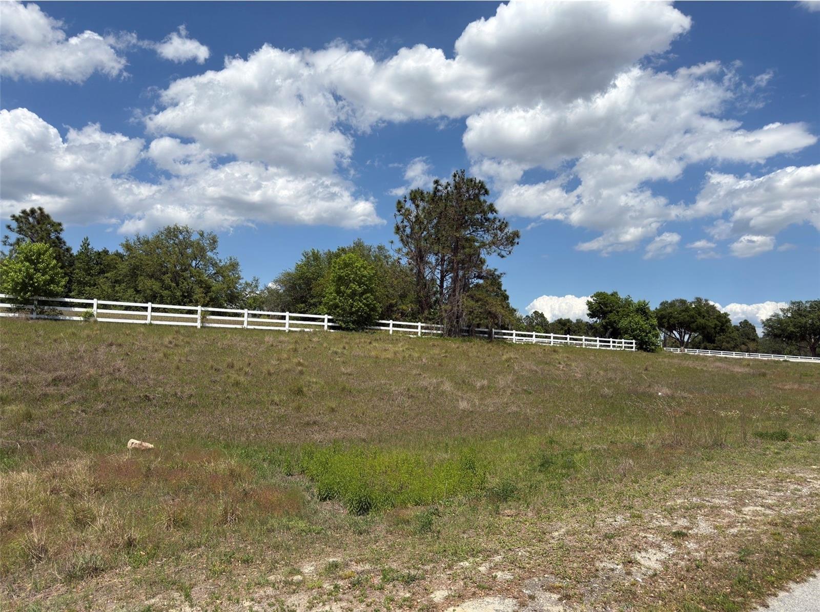 6115 RANCH LAKE RD, GROVELAND, FL, 34736