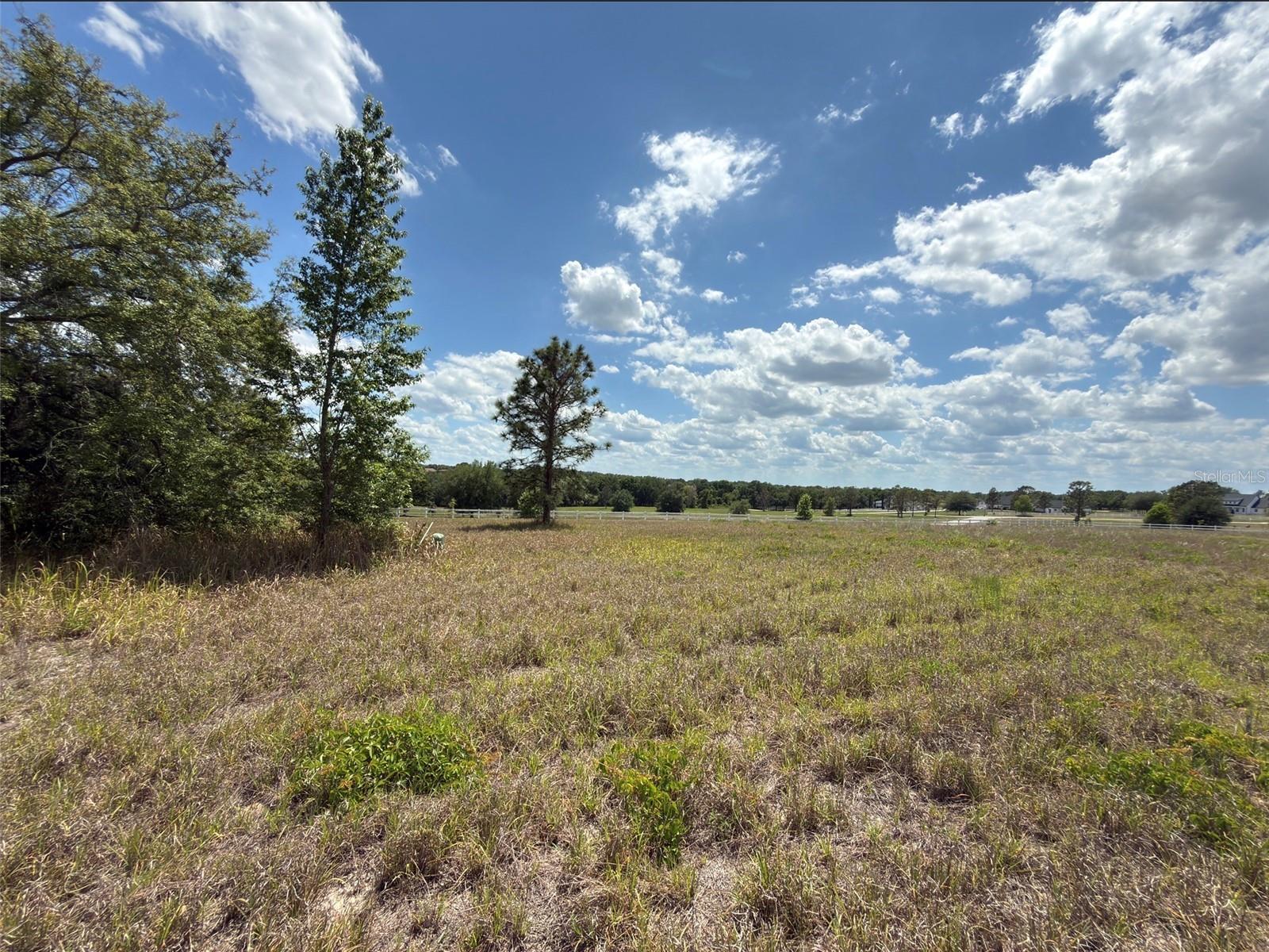 6115 RANCH LAKE RD, GROVELAND, FL, 34736