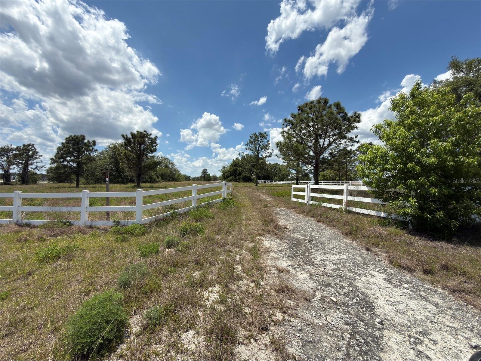 6115 RANCH LAKE RD, GROVELAND, FL, 34736