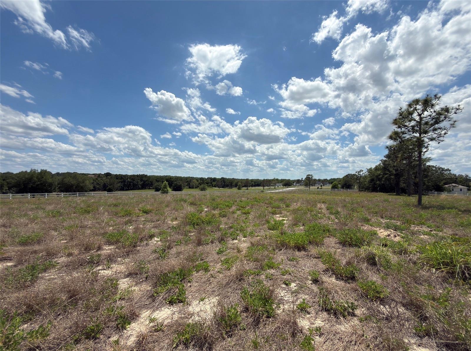 6115 RANCH LAKE RD, GROVELAND, FL, 34736