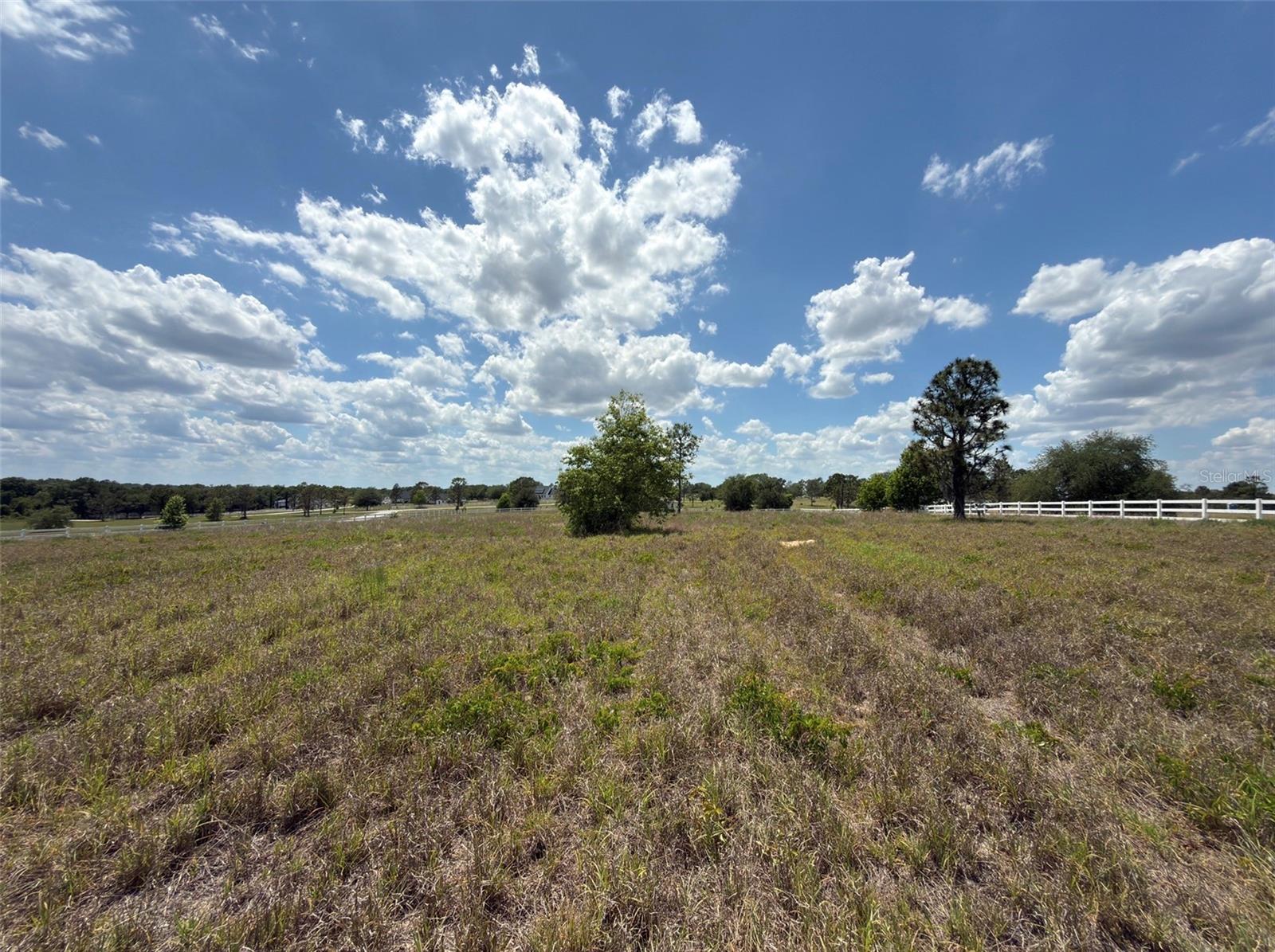 6115 RANCH LAKE RD, GROVELAND, FL, 34736