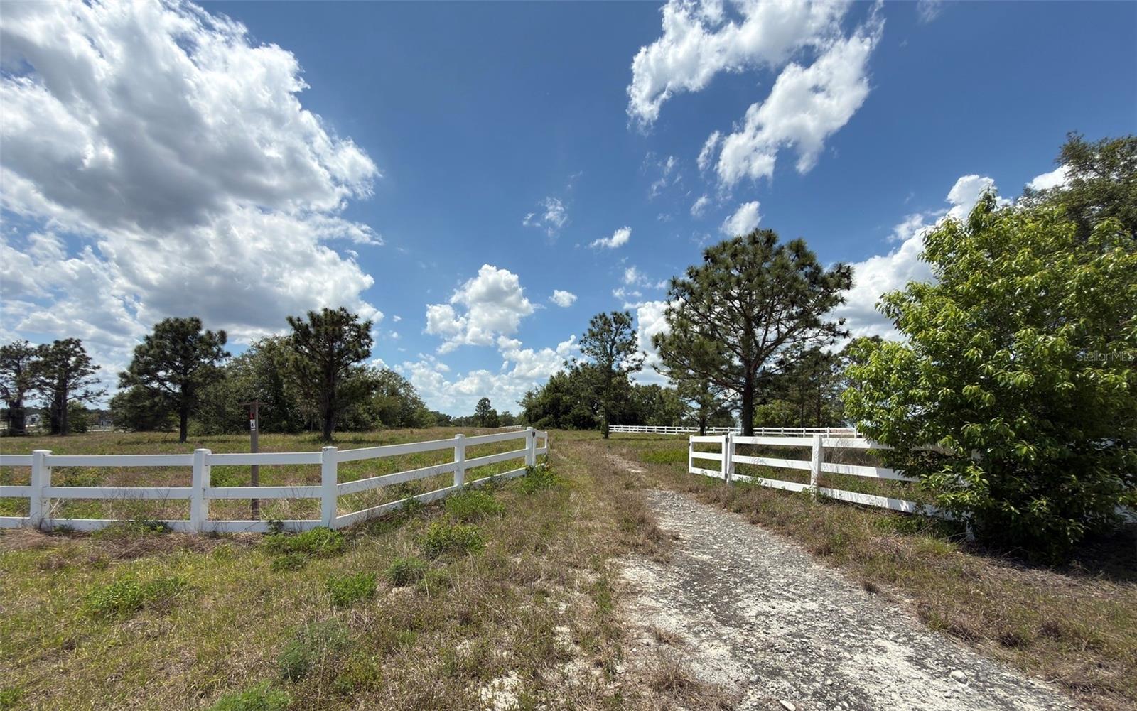 6115 RANCH LAKE RD, GROVELAND, FL, 34736