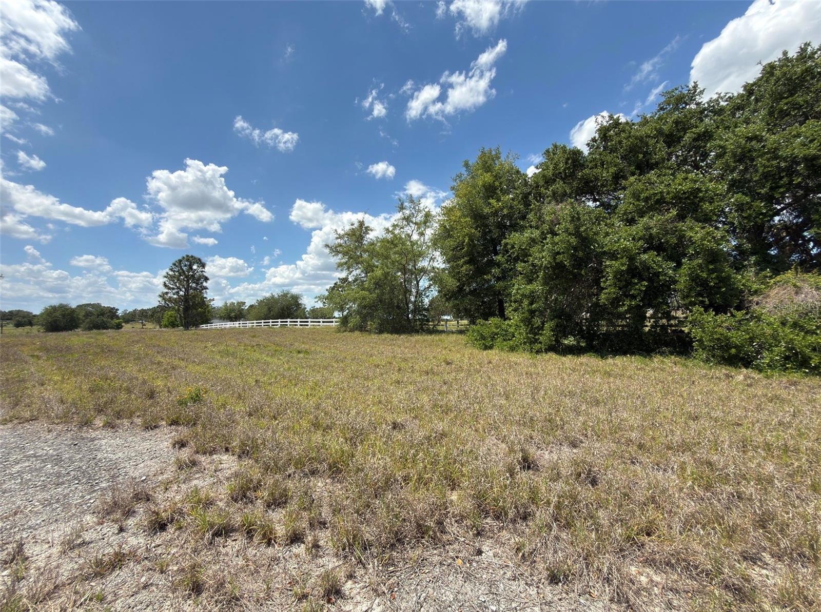 6115 RANCH LAKE RD, GROVELAND, FL, 34736