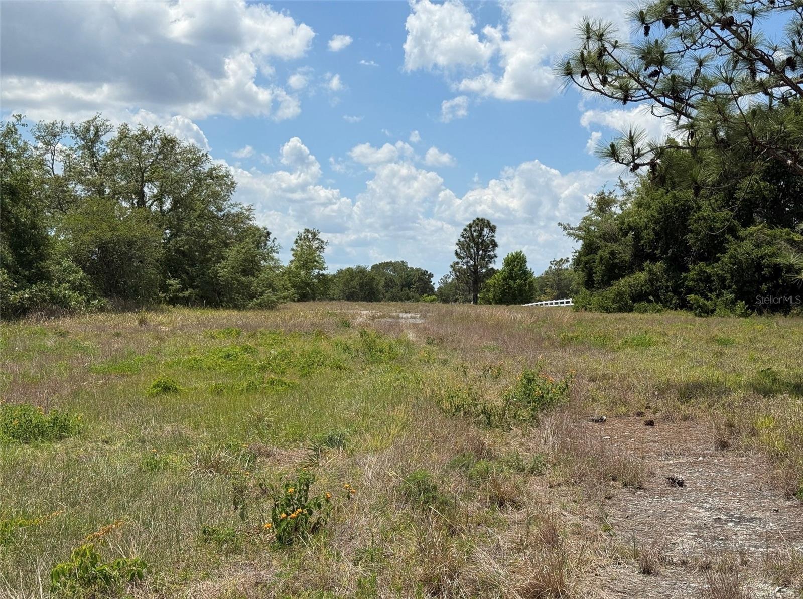 6115 RANCH LAKE RD, GROVELAND, FL, 34736