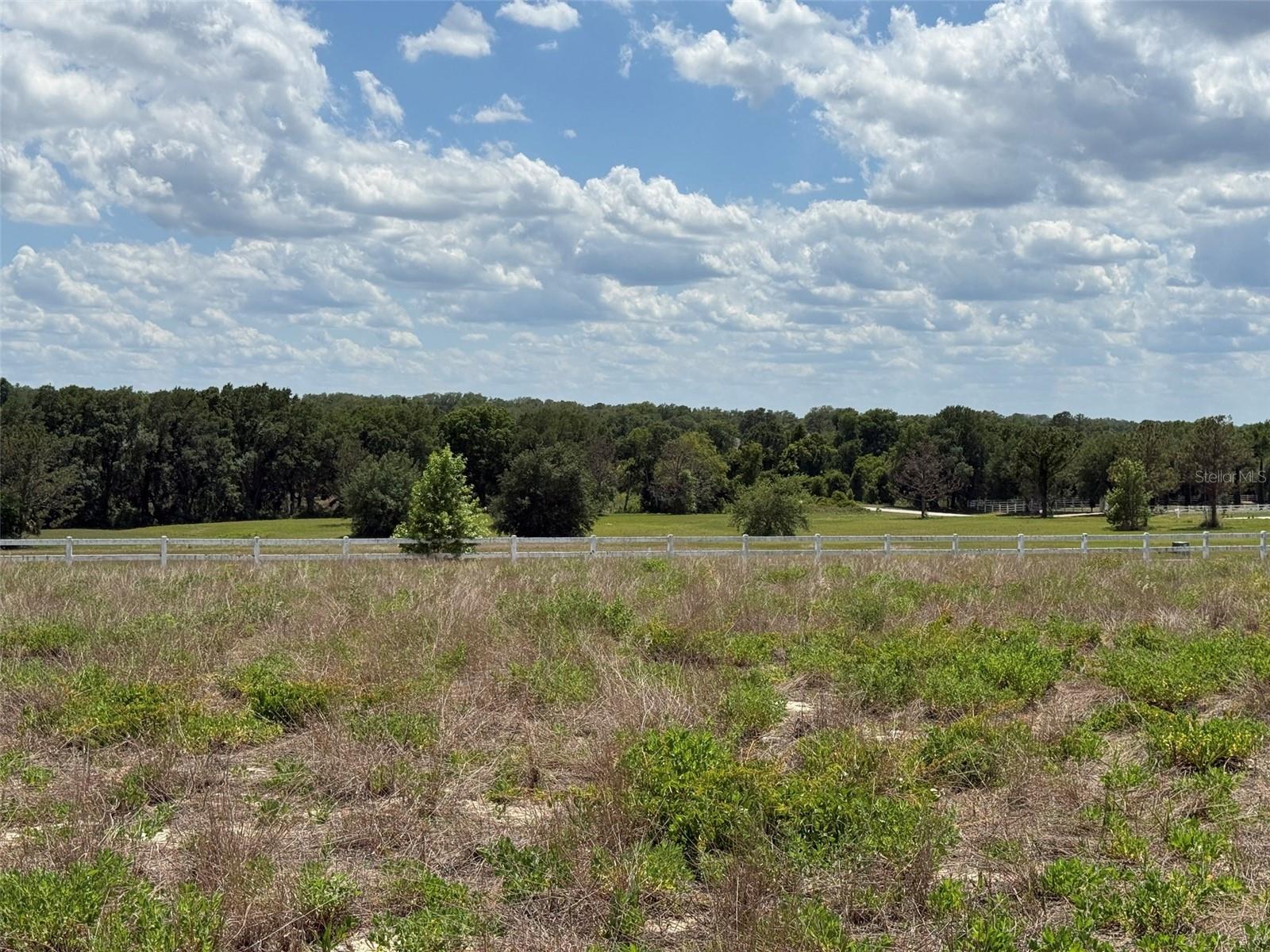 6115 RANCH LAKE RD, GROVELAND, FL, 34736