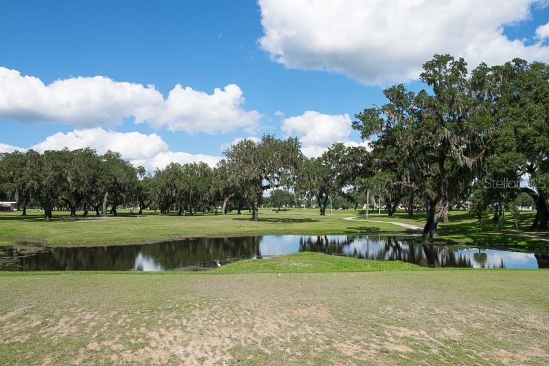 6132 SILVER OAKS DR, ZEPHYRHILLS, FL, 33542